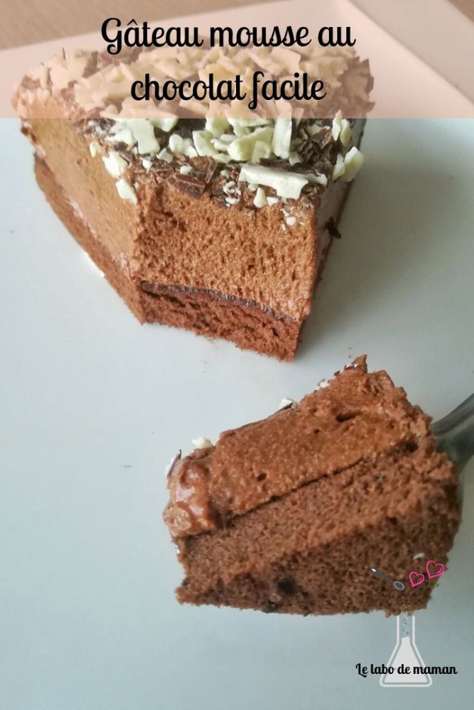 gâteau - chocolat - génoise - companion - mousse - dessert - facile